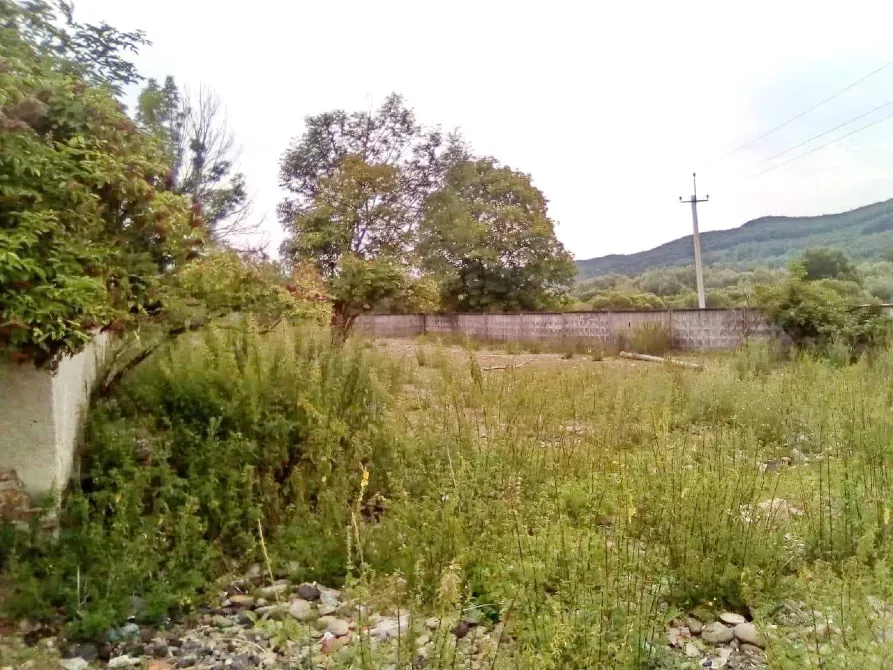 Продаж земельної ділянки Будівництво та експлуатація виробничих підприємств площа 44.55 сот GWP8+RR, Свалявський район, Закарпатська область, 89322 Сусково - фото 2