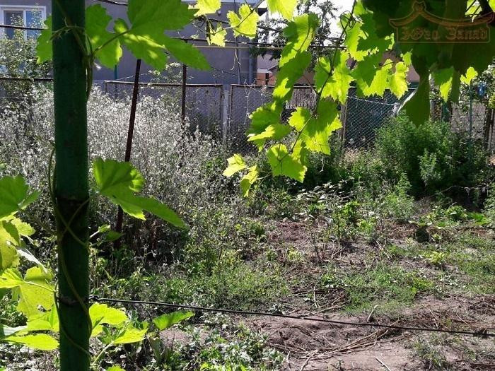 Продам дом на 7 сотках, Таирова Odessa - photo 3