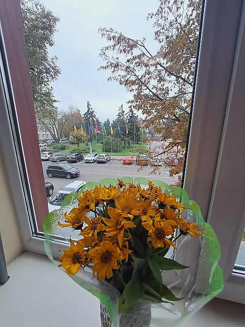 Продаж 3 км. квартири у Центрі Тернополя. Тернопіль - фото 1