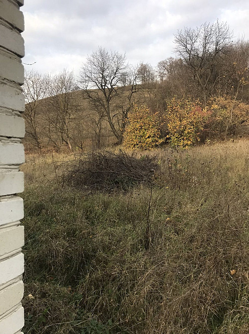 Продаж Будинок Bovshiv - photo 4