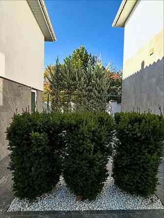 Продаж Будинок на Киевская Одеса