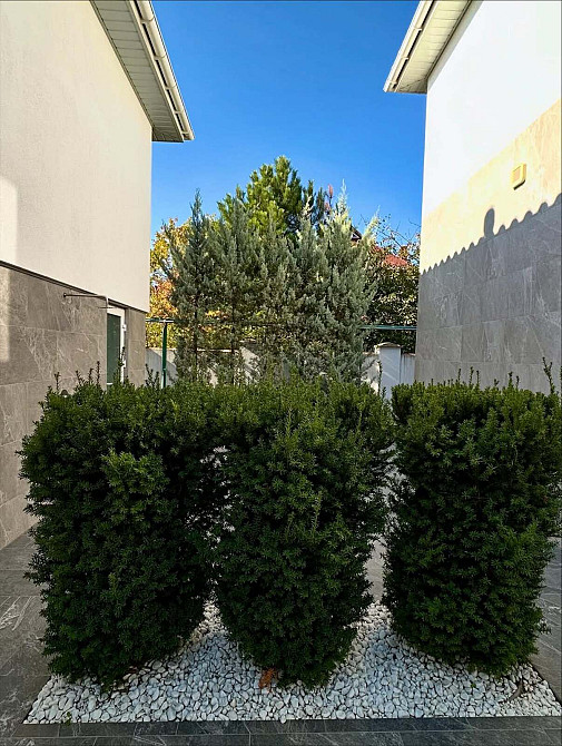 Продаж Будинок на Киевская Одеса - фото 4