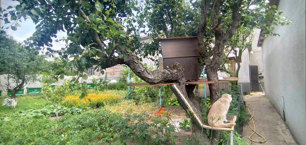 Капитальный дом на 10 сотках земли, Черноморка Одеса - фото 2