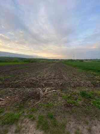 Продаж земельної ділянки 19 соток на вул. ур. Лани Малі Грибовичі