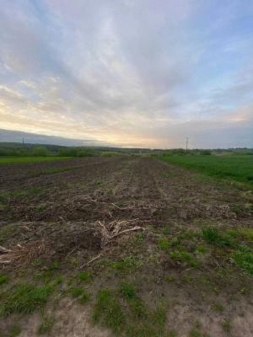 Продаж земельної ділянки 19 соток на вул. ур. Лани Малі Грибовичі - фото 3