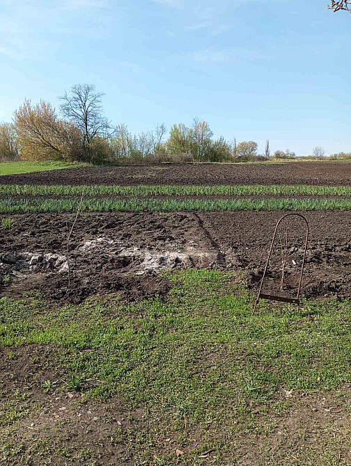 Продаж Будинок Новомиргород - фото 14