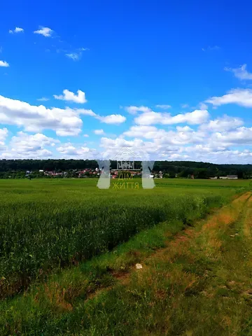 Продажа земельного участка  площадь 207 сот Зелена вулиця  - изображение 5