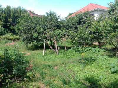 Продаж земельної ділянки 0.1 соток на ул. Шевченко, 6 Sukhyi Lyman - photo 5