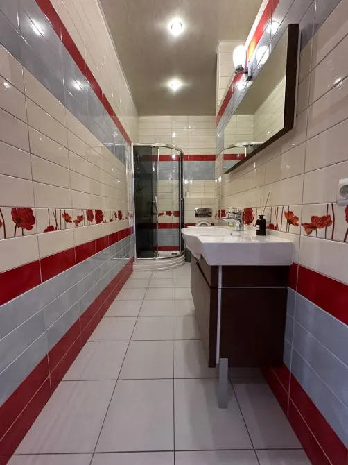 Продаж 2-поверховий Будинок з ділянкою 5 сот 322 кв.м 7+ кімн. на Кривоноса Дніпро - фото 8