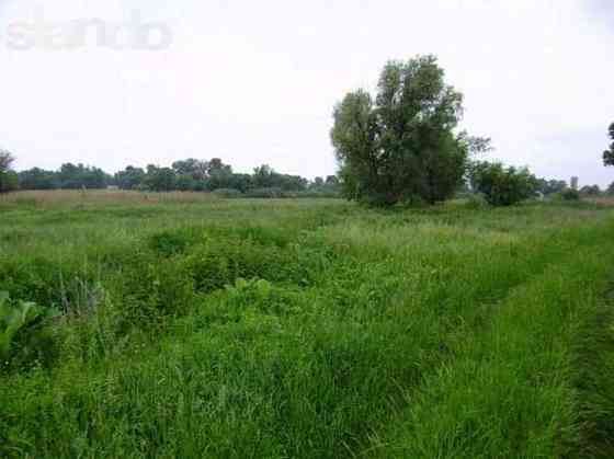 Продаж земельної ділянки 1.75 га 