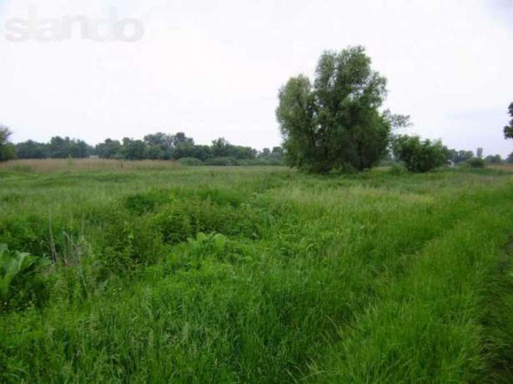 Продаж земельної ділянки 1.75 га  - фото 2