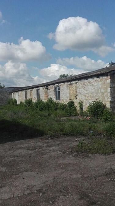 Продаж приміщення вільного призначення поверх - 1/1 Черняхівка - фото 2