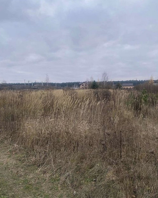 Продаж земельної ділянки 25 соток на Вишпіль Житомир - изображение 2