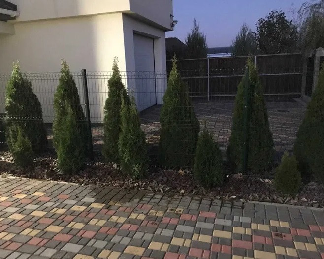 Оренда Будинок Odessa - photo 14