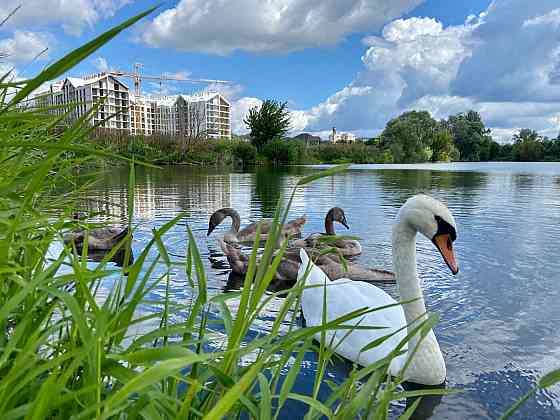 Продаж Квартира 1-кімнатна, 1/7 поверх на улица Богдана Хмельницкого, д.3 Гостомель