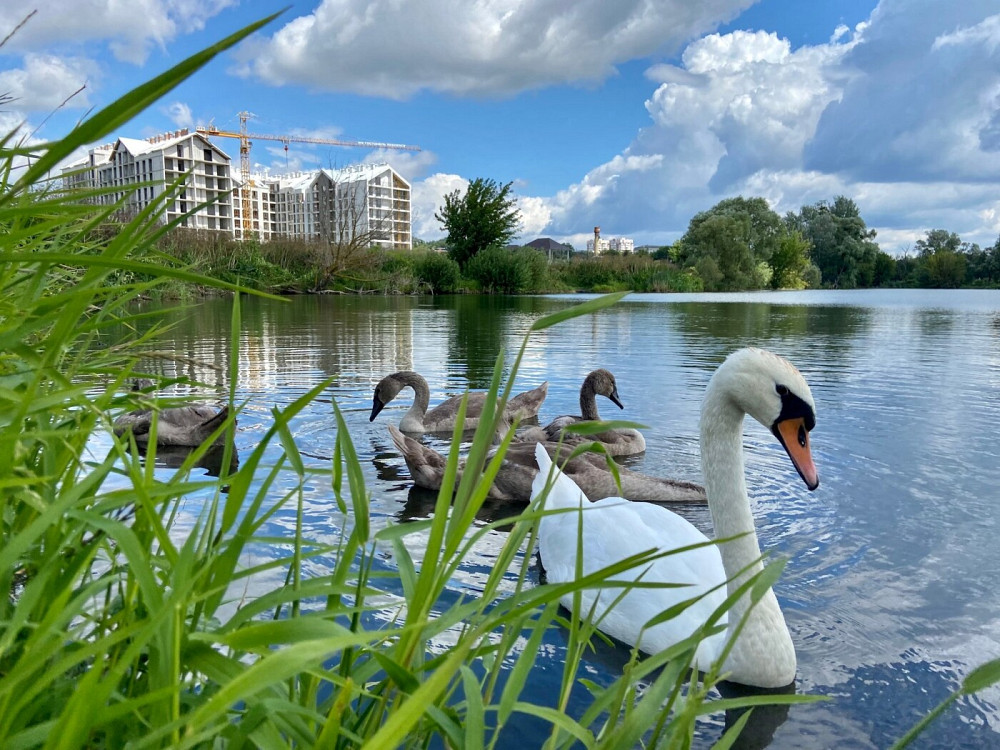 Продаж Квартира 1-кімнатна, 1/7 поверх на улица Богдана Хмельницкого, д.3 Гостомель - изображение 3