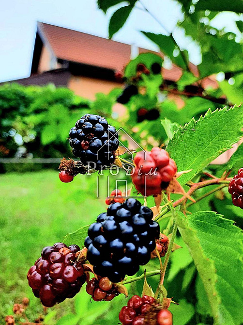 Продаж Будинок 4-кімнатний Осикове - изображение 15