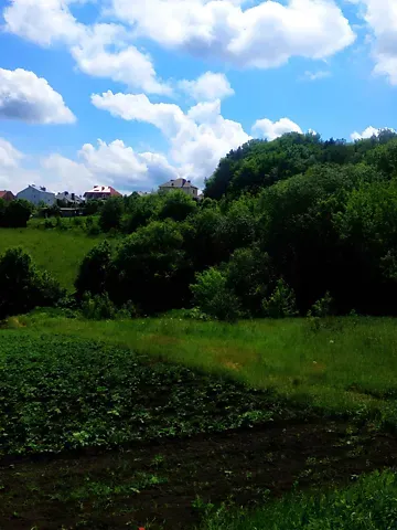 Продаж земельної ділянки  площа 6 сот Вишнева вулиця  - фото 7