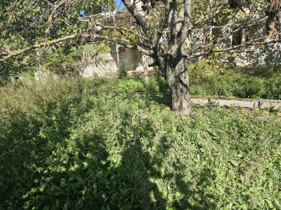 Продаж земельної ділянки 8 соток на ул. Новонерубайская, 4а Нерубайське - фото 6