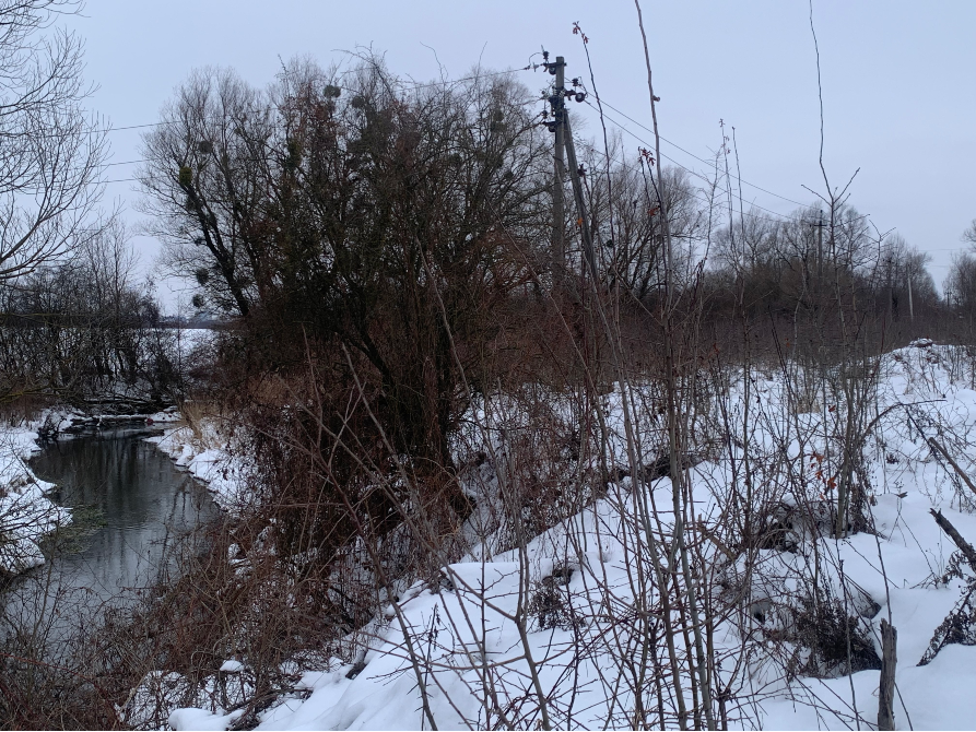 Продажа земельного участка Для сельскохозяйственной деятельности площадь 19 сот GWWH+WP, Миколаївський район, Львівська область, 81630 Дроговиж - изображение 8