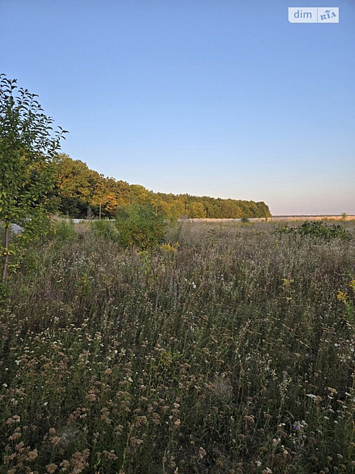 Продаж земельної ділянки 8 соток Винница - изображение 3