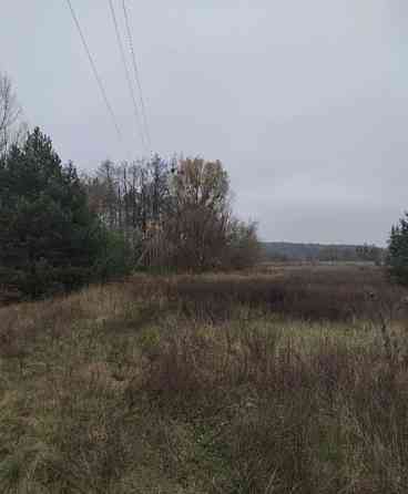 Продаж земельної ділянки 22 соток на Велики Кошарища садове товариство Житомир