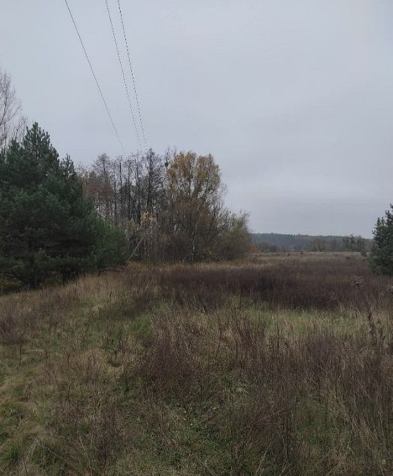 Продаж земельної ділянки 22 соток на Велики Кошарища садове товариство Житомир - изображение 2