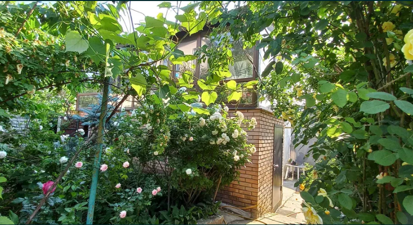 Продам дом у моря в Черноморке! 5–10 минут пешком до пляжа! Одеса - фото 11