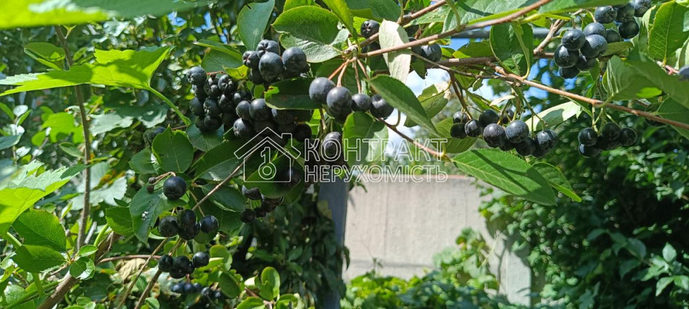 Продаж Будинок 2-кімнатний на вул. Верхня Гиївська Харків - фото 16