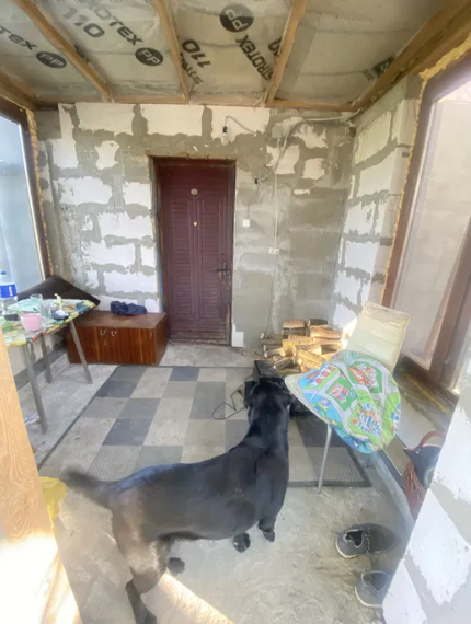 Продам дом в с.Христиновка возле Хаджибеевского лимана Єгорівка - фото 17