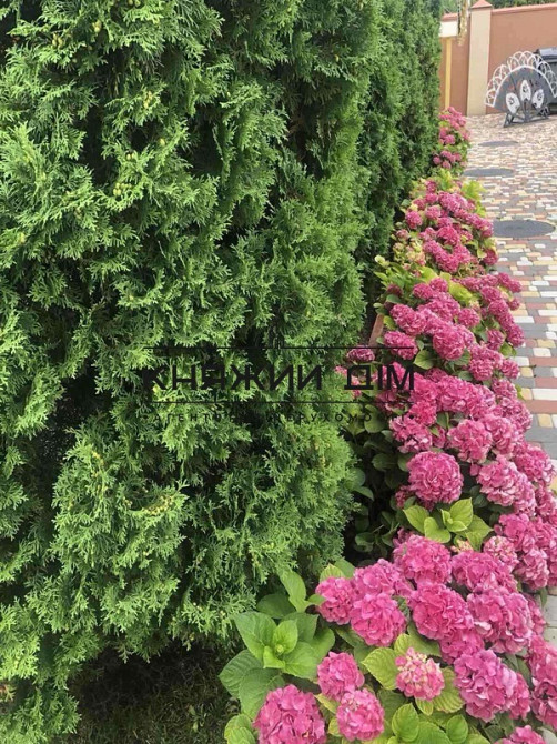 Без комісії! Є Генератор! Оренда 2-х поверхового будинку Чапаївка Голосіївський р-н. № 139465 Киев - изображение 17