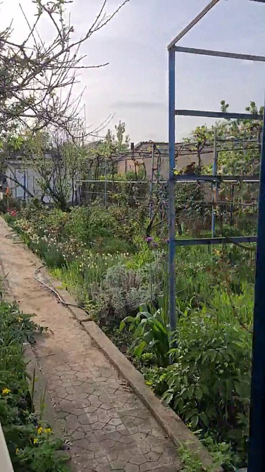 Продам дом в селе Светлое, 5 км. от Одессы Світле - фото 15