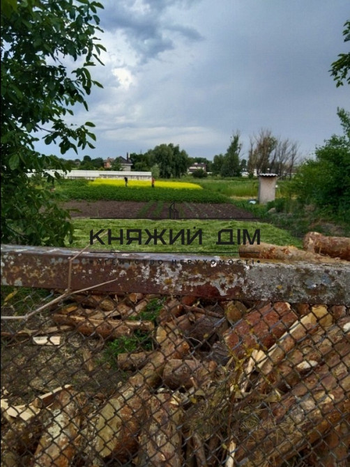 Продаж 1-поверховий Будинок  43 кв.м   Погребы - фото 4