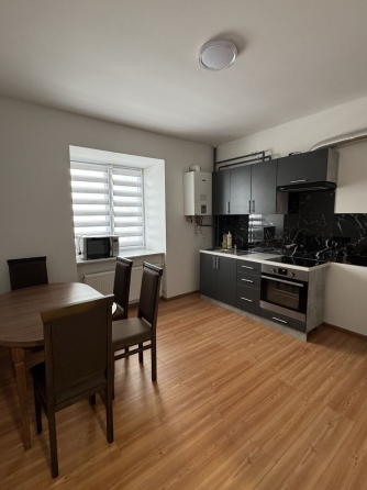 For rent 1-room Apartment 50 sq.m Панаса Мирного Khmel'nyts'kyy