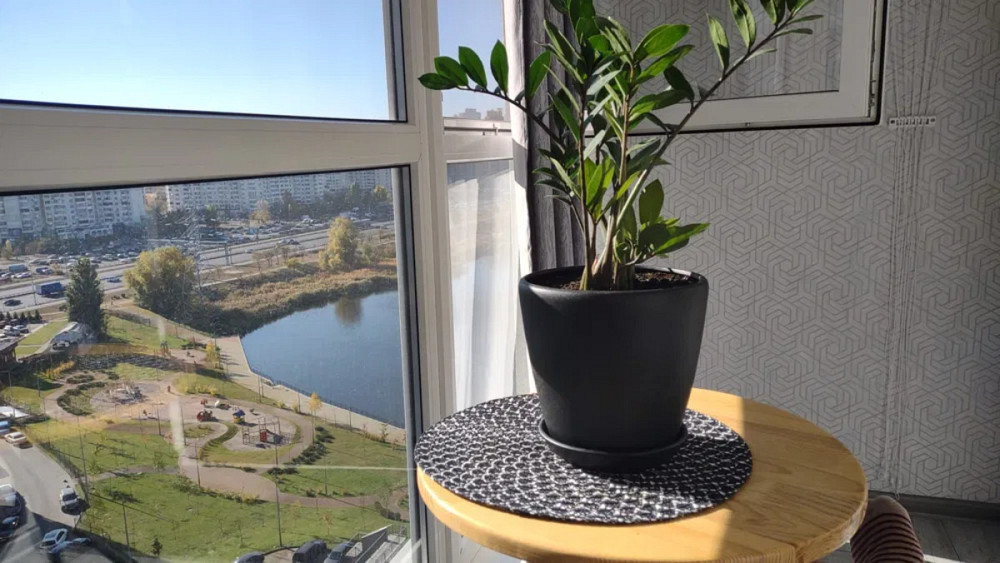 Оренда Квартира 1-кімнатна, 14/21 поверх на Ревуцького, 40В Kiev - photo 9