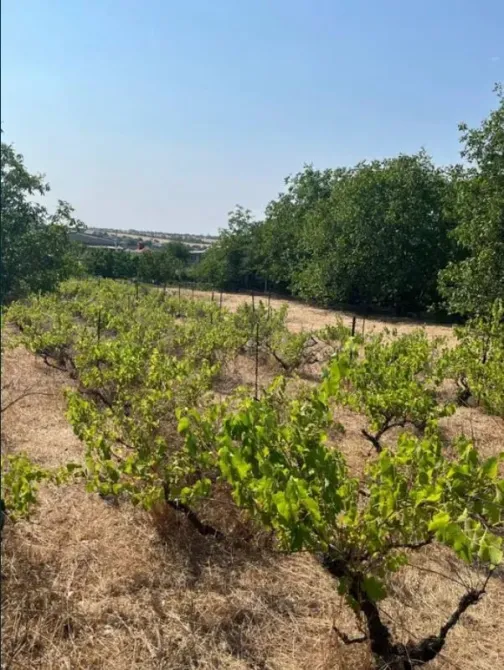 Продаж 1-поверховий Будинок з ділянкою 17 сот 40 кв.м 2 кімн. на HHJ2+G8, Біляївський район, Одеська область, 67624 Одеса - фото 1