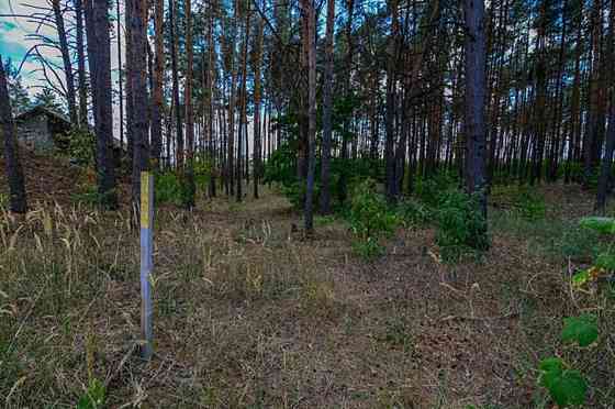 Продаж земельної ділянки 30 соток на котеджный городок 