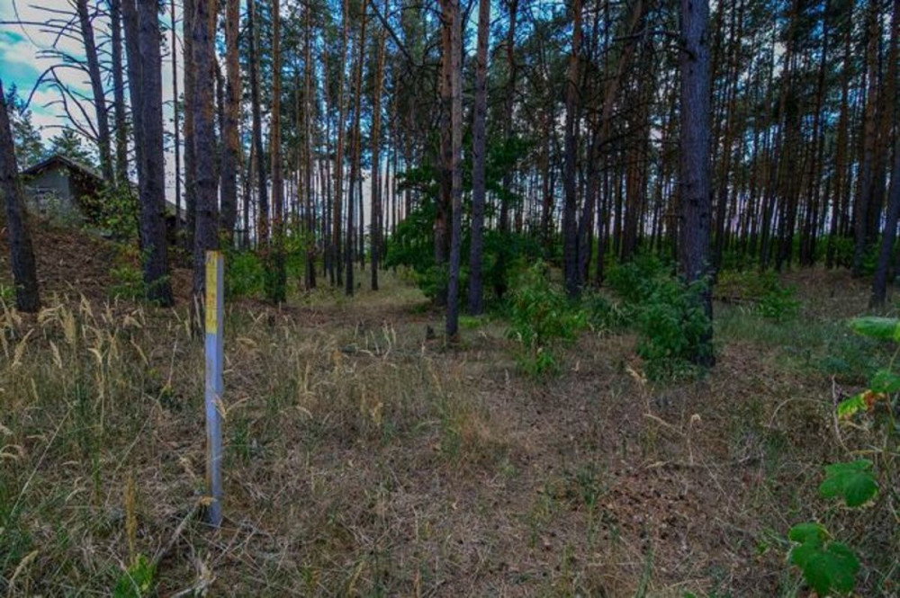 Продаж земельної ділянки 30 соток на котеджный городок  - фото 5