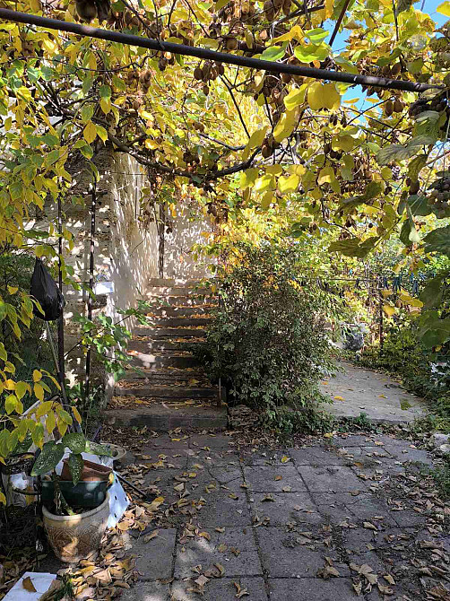 Продается участок с домом с ландшафтным дизайном на Таирова Odessa - photo 5