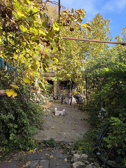 Продается участок с домом с ландшафтным дизайном на Таирова Odessa - photo 13