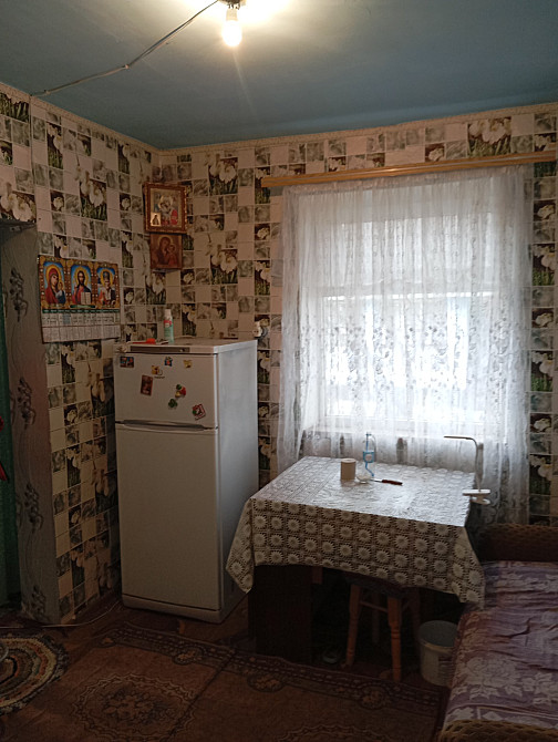 Продам дом в с.Новосельцы (Раздельнянский р-н, 40 км. от Одессы) Новосільці - фото 4