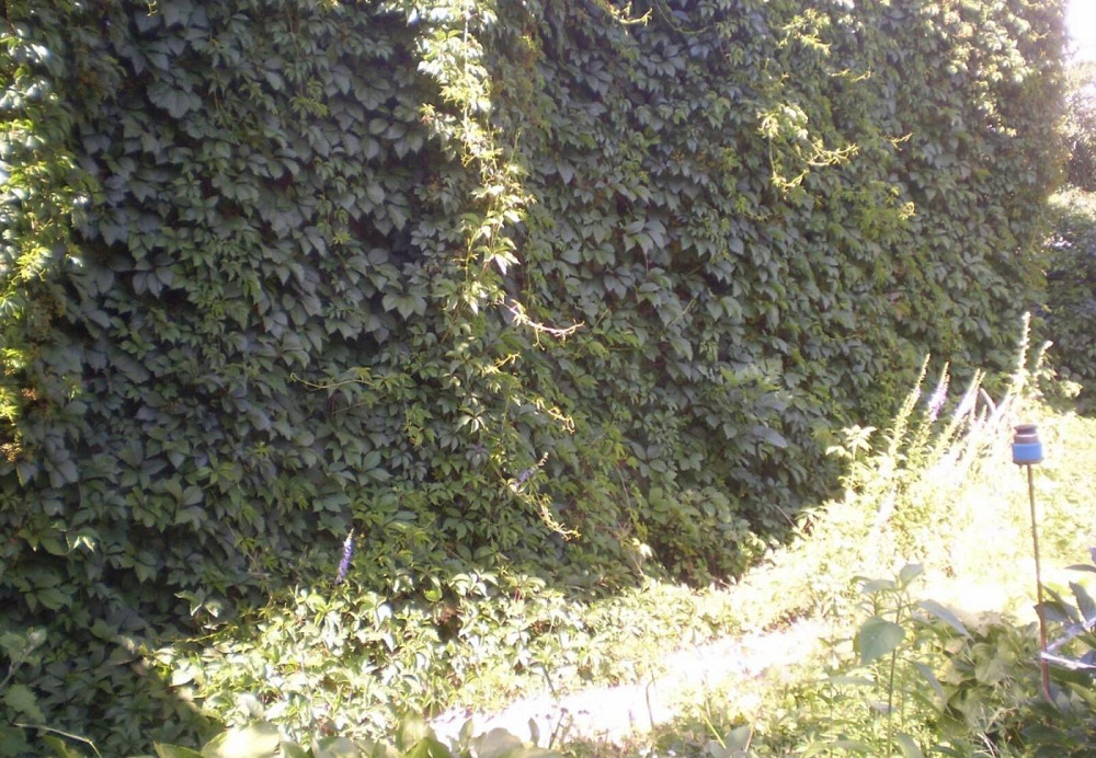 Продаж Квартира 4-кімнатна, 1/1 поверх на вул. Київська Житомир - фото 8