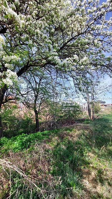 Продаж земельної ділянки 13 соток на Повстанців Uhornyky (Kolomyiskyi raion) - photo 5