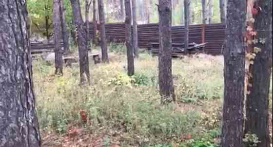 Продаж земельної ділянки 13 соток на Пряжів Житомир