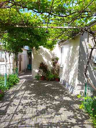 Дом в городской черте. Одеса