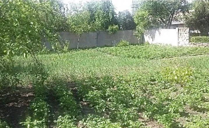 Продам дом в Арцизе (Одесская обл.) Арциз - фото 10