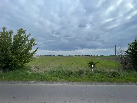 Продаж земельної ділянки Для будівництва приватного житлового будинку площа 46 сот вул. Миру у с. Борохів. Луцьк - фото 2