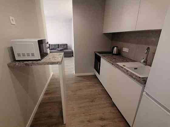 Оренда Квартира 1-кімнатна, 16/25 поверх на вул. Максимовича, 32А Київ