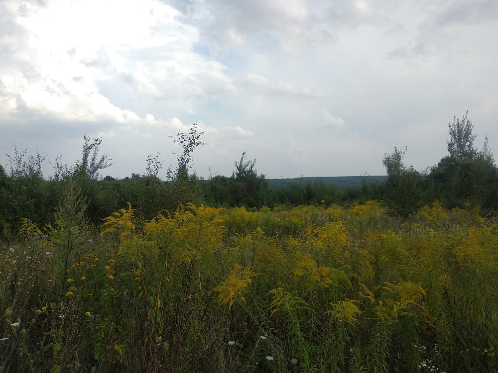 Продаж земельної ділянки 10 соток Pavlivka - photo 1