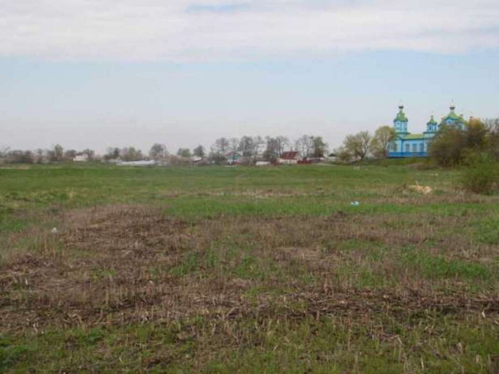 Продаж земельної ділянки 25 соток  - фото 1